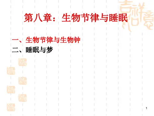 睡眠与梦精品PPT课件