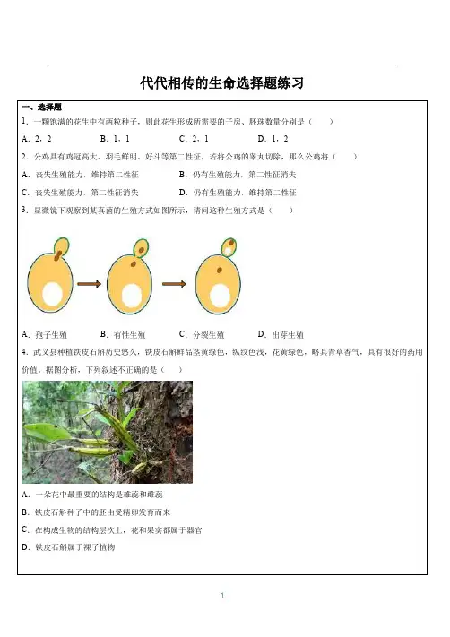 代代相传的生命选择题练习