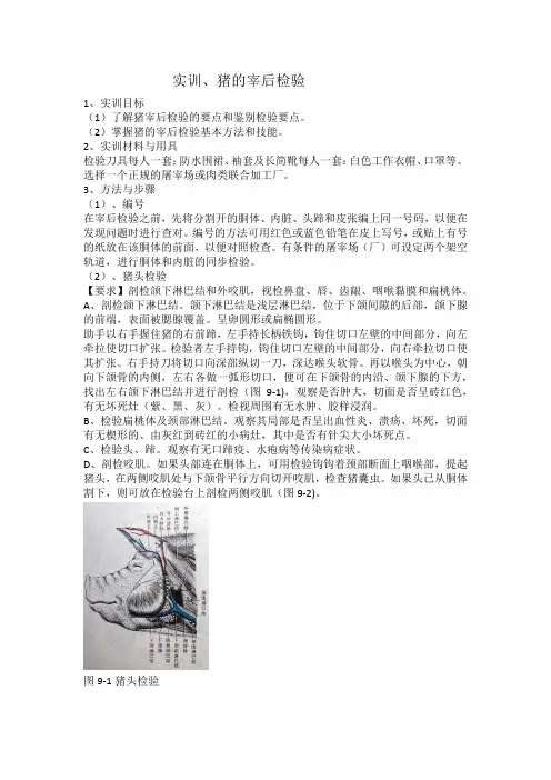 实训：猪的宰后检验