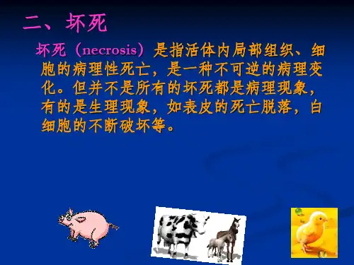 《病理学基础》PPT课件