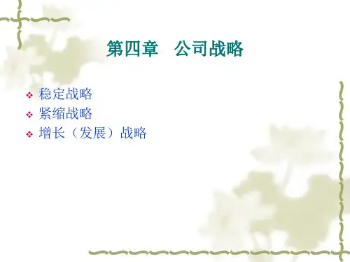 企业战略管理讲义4