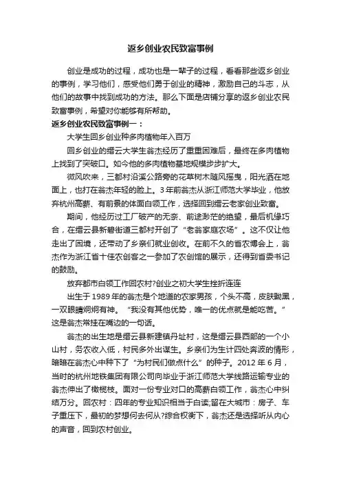 返乡创业农民致富事例
