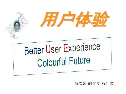 用户体验精品PPT课件