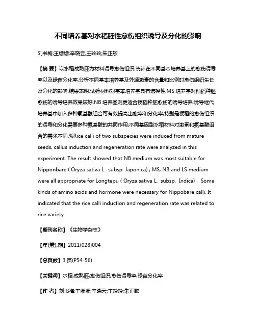 不同培养基对水稻胚性愈伤组织诱导及分化的影响