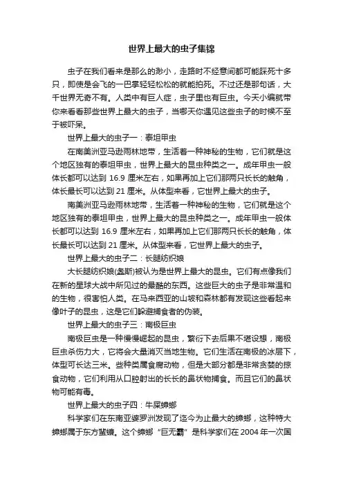 世界上最大的虫子集锦