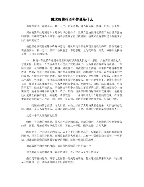 黑玫瑰的花语和传说是什么