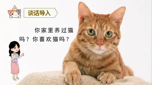 《猫》课件PPT