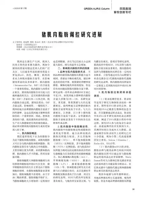猪肌内脂肪调控研究进展