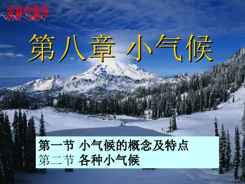 小气候(课堂PPT)