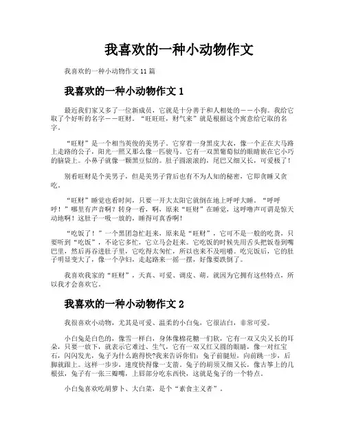 我喜欢的一种小动物作文
