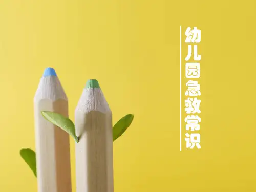 幼儿园急救常识 PPT课件