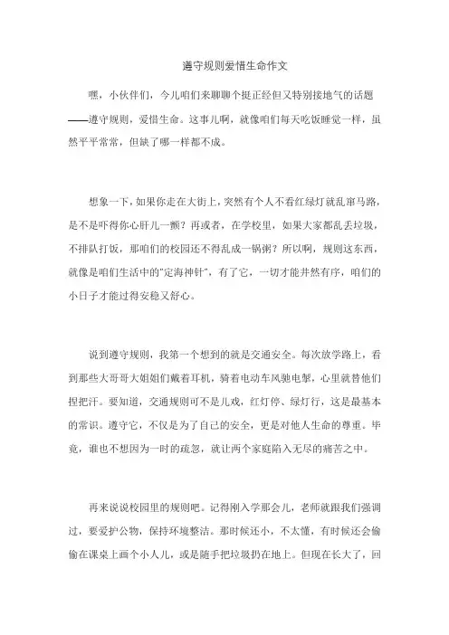 遵守规则爱惜生命作文