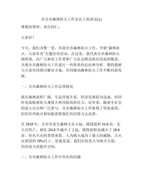 在全市森林防火工作会议上的讲话(1)