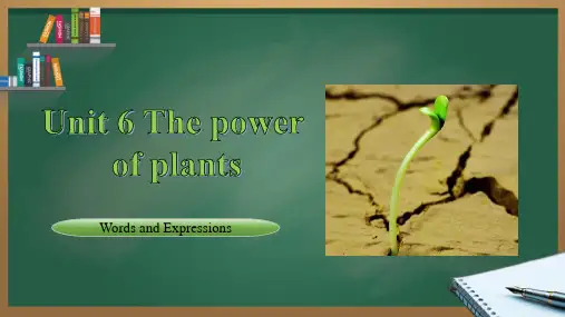 七年级上册外研版(2024)Unit6 The power of plants 单词讲解