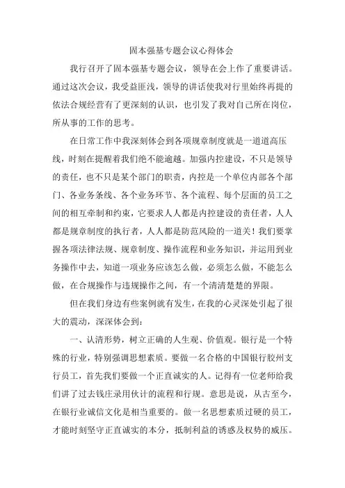 固本强基专题会议心得体会