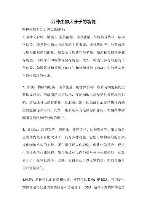 四种生物大分子的功能