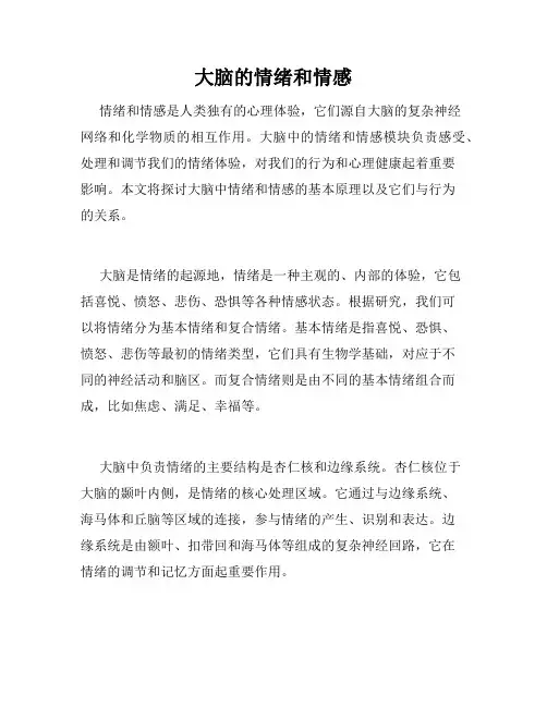 大脑的情绪和情感