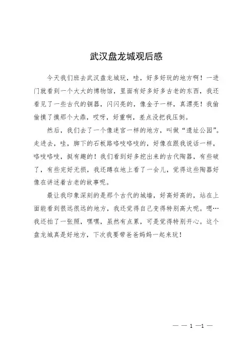 武汉盘龙城观后感