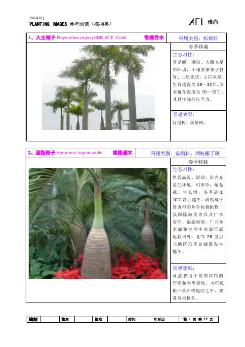 00植物参考图谱03-棕榈植物