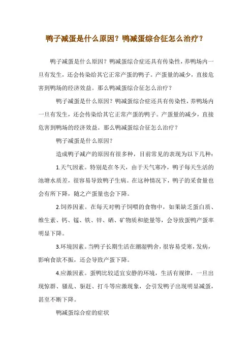 鸭子减蛋是什么原因？鸭减蛋综合征怎么治疗？