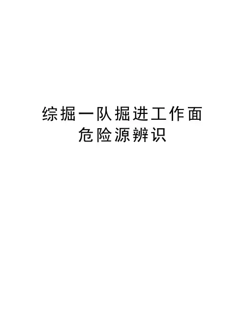 综掘一队掘进工作面危险源辨识复习过程