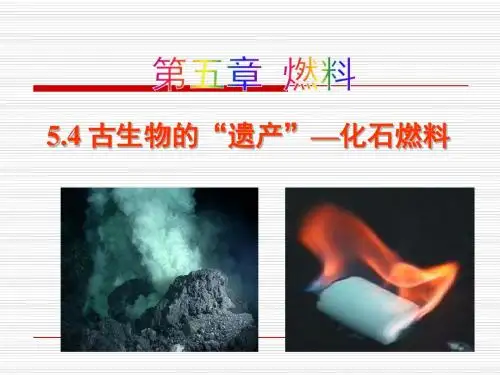 【科粤版】化学九年级上课件：5.4 古生物的“遗产”—化石燃料 (共25张PPT)