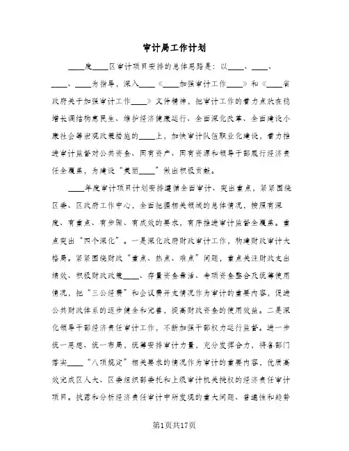 审计局工作计划(四篇)