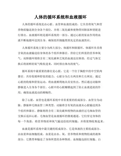 人体的循环系统和血液循环