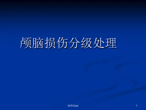 颅脑外伤急救PPT课件