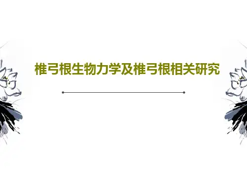 椎弓根生物力学及椎弓根相关研究PPT文档27页