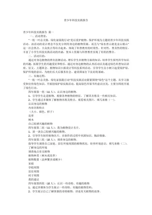 青少年科技实践报告