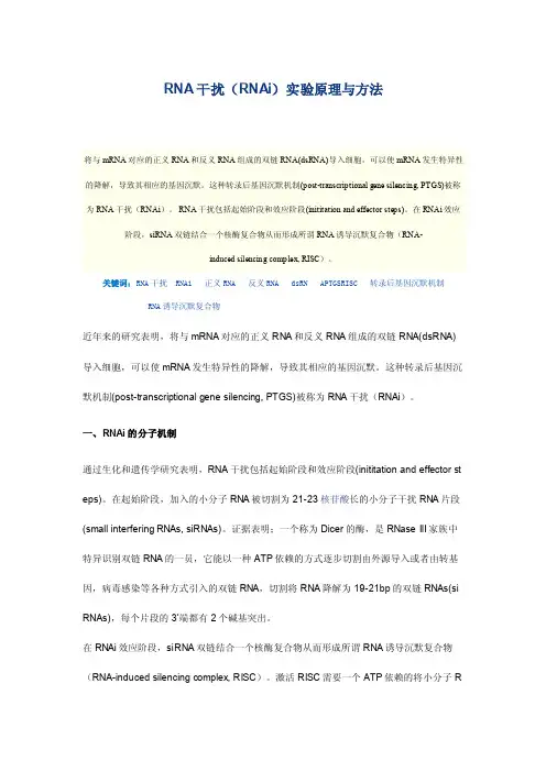 RNA干扰（RNAi）实验原理与方法