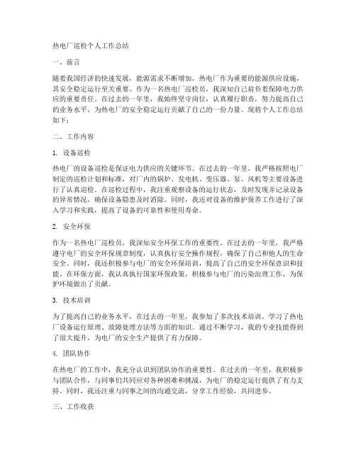 热电厂巡检个人工作总结