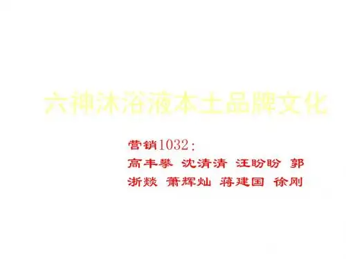 六神沐浴液本土品牌文化ppt课件