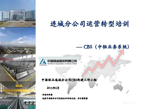 CBS的构建与运用(完整版)