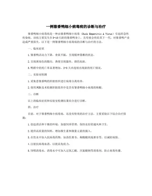 一例雏番鸭细小病毒病的诊断与治疗