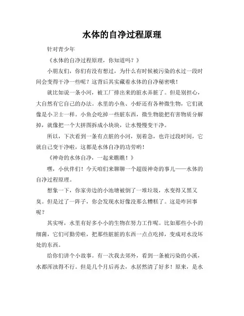 水体的自净过程原理