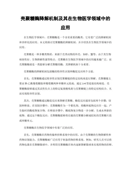 壳聚糖酶降解机制及其在生物医学领域中的应用