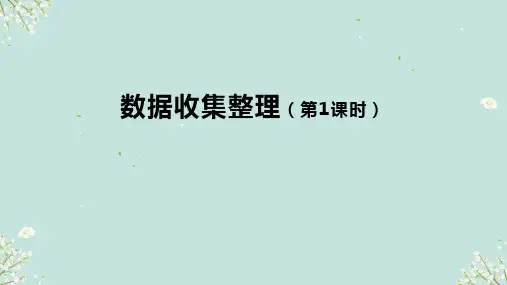 数据收集整理课件(共30张PPT)