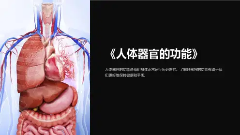 《人体器官的功能》课件