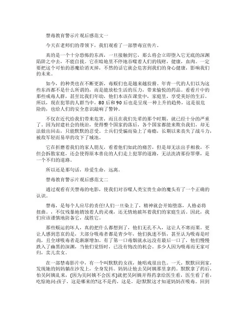 禁毒教育警示片观后感600字范文5篇
