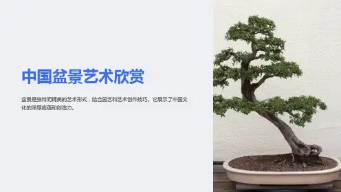 《中国盆景艺术欣赏》课件