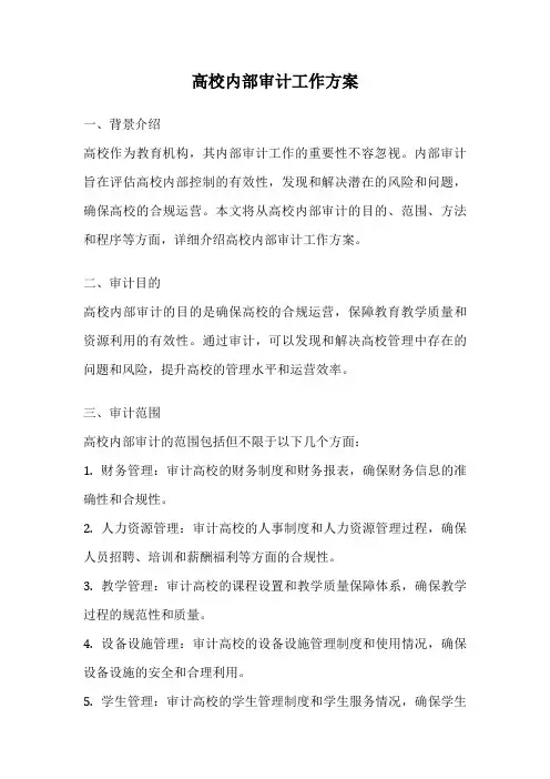 高校内部审计工作方案