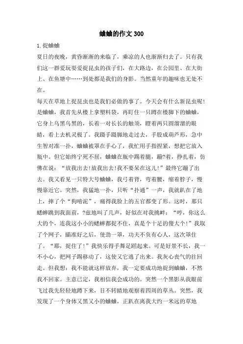 蛐蛐的作文300