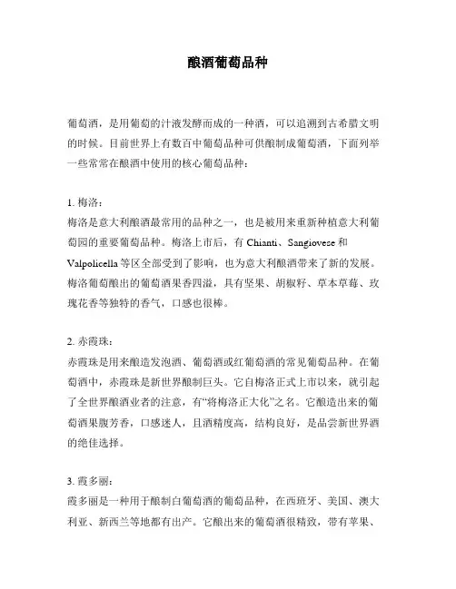 酿酒葡萄品种