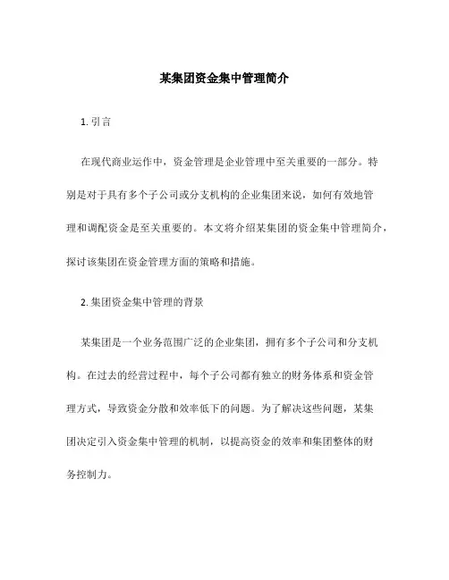 某集团资金集中管理简介