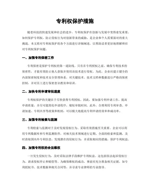 专利权保护措施