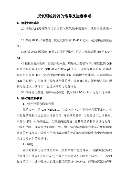 厌氧颗粒污泥的培养注意事项