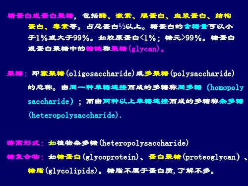 第十一章糖蛋白与蛋白聚糖