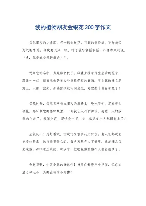 我的植物朋友金银花300字作文